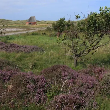 Ground-floor Texel Retreat