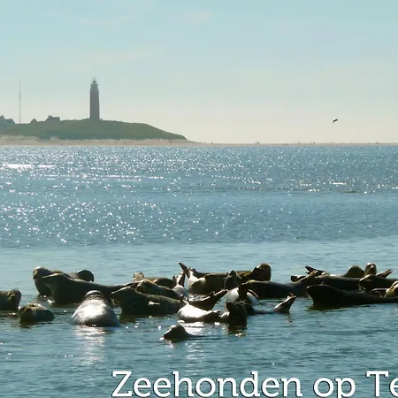 Ground-floor Texel Retreat *